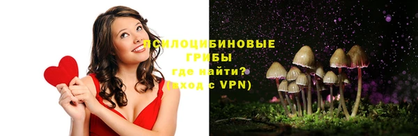 дживик Инсар