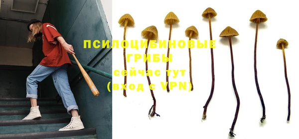 марихуана Инта