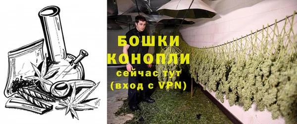 дживик Инсар