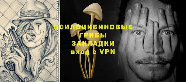 дживик Инсар