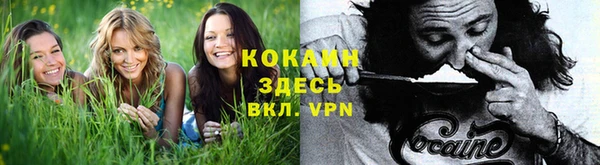дурь Иннополис
