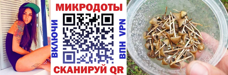 Галлюциногенные грибы мухоморы  Менделеевск 