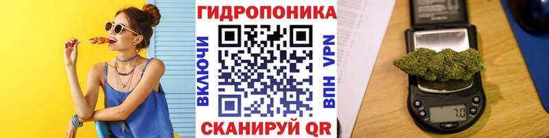 Шишки марихуана ГИДРОПОН  Менделеевск 